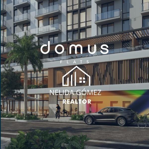Nuevos Proyectos | Nelida Gomez